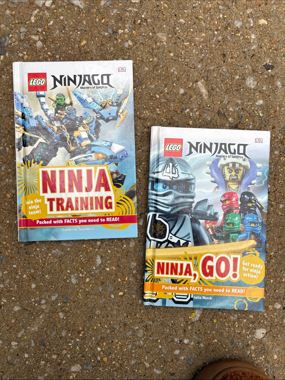 LEGO Ninjago Kids Book Set - Ninja Training & Ninja, Go! - Colorful